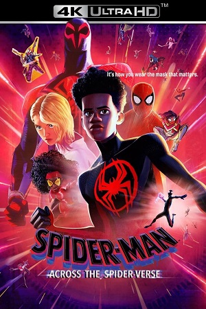 Download Spider-Man: Across the Spider-Verse (2023) BluRay Dual Audio {Hindi-English} 480p [480MB] | 720p [1.3GB] | 1080p [3GB] | 2160p [20GB] 4K SDR